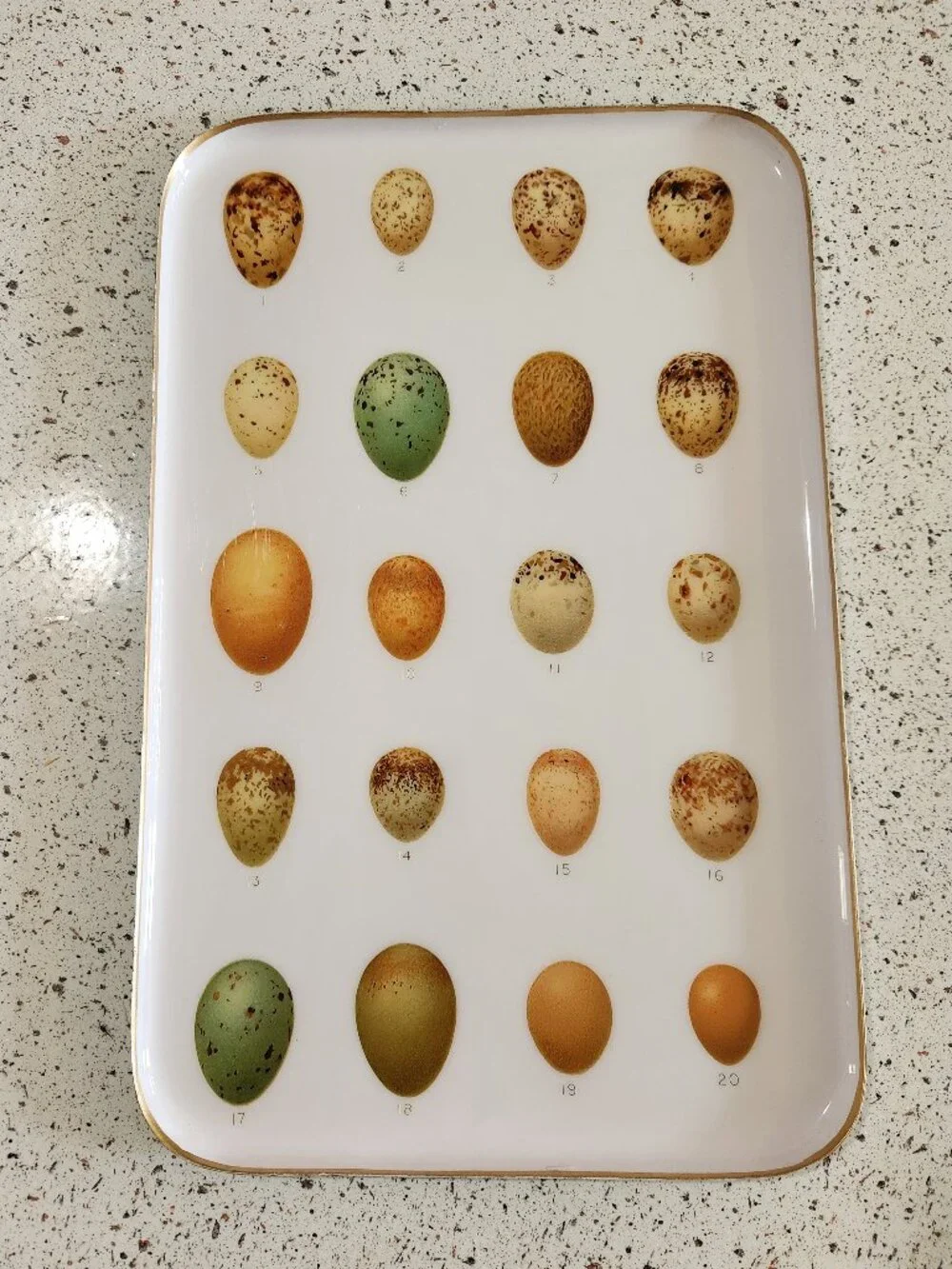 Anthropologie Terrain Egg Print Handmade Enamel Archival Tray Large 10